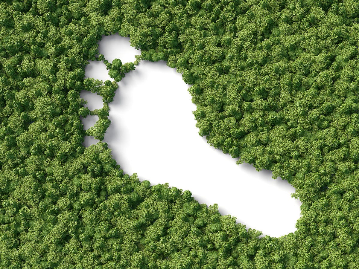 Trees with a footprint