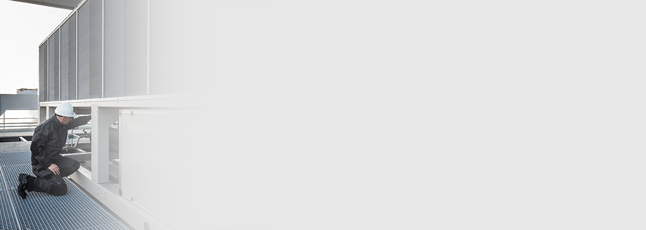 Τυπική εγγύηση